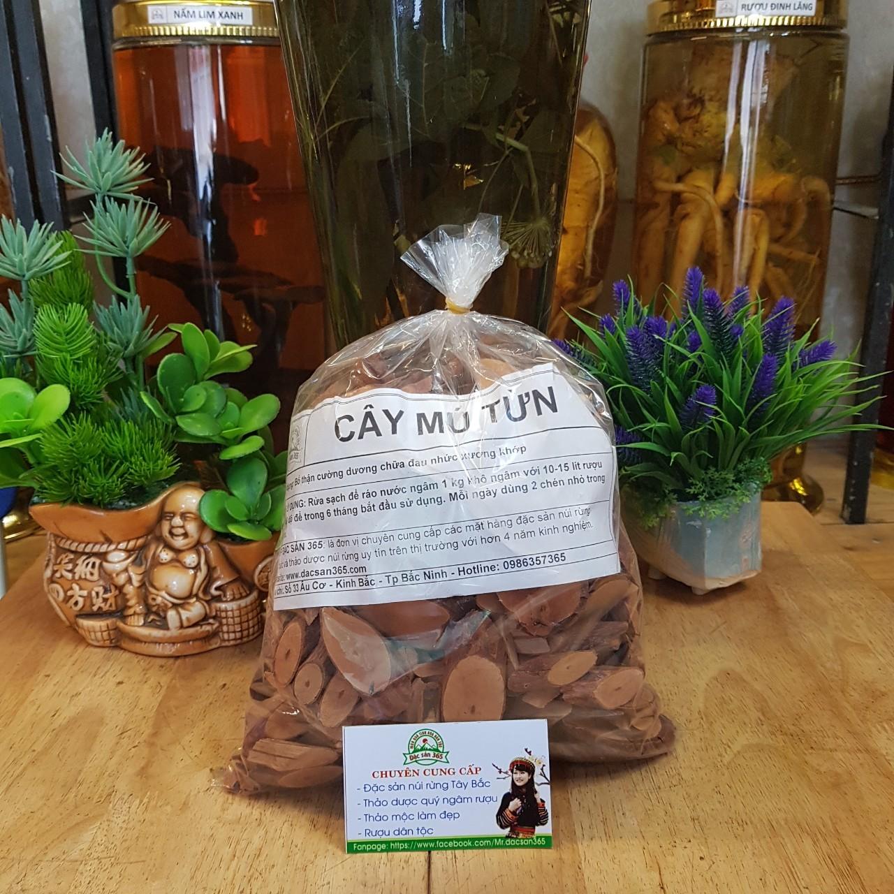 Cây Mú từn bổ thận tráng dương
