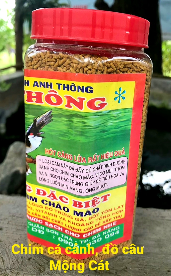 Cám chim chào mào Anh Thông 500g