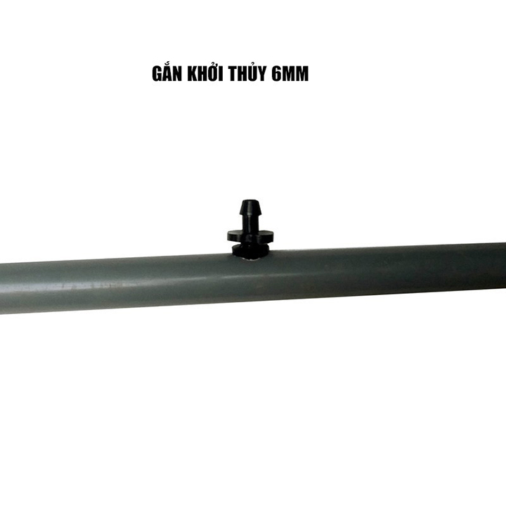 Combo 20 ron cao su khởi thủy 6mm
