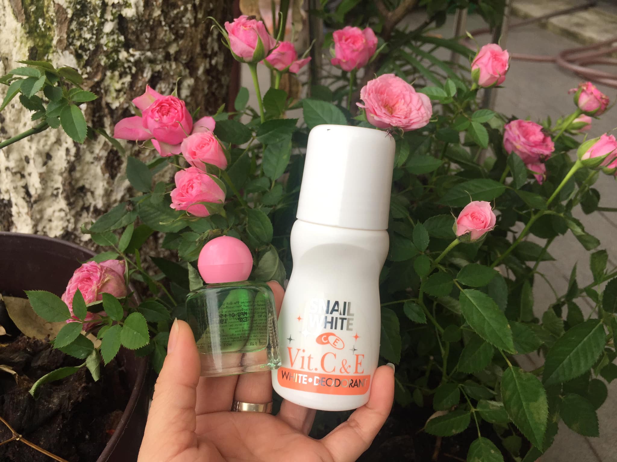 LĂN KHỬ MÙI NÁCH THÁI LAN SNAIL