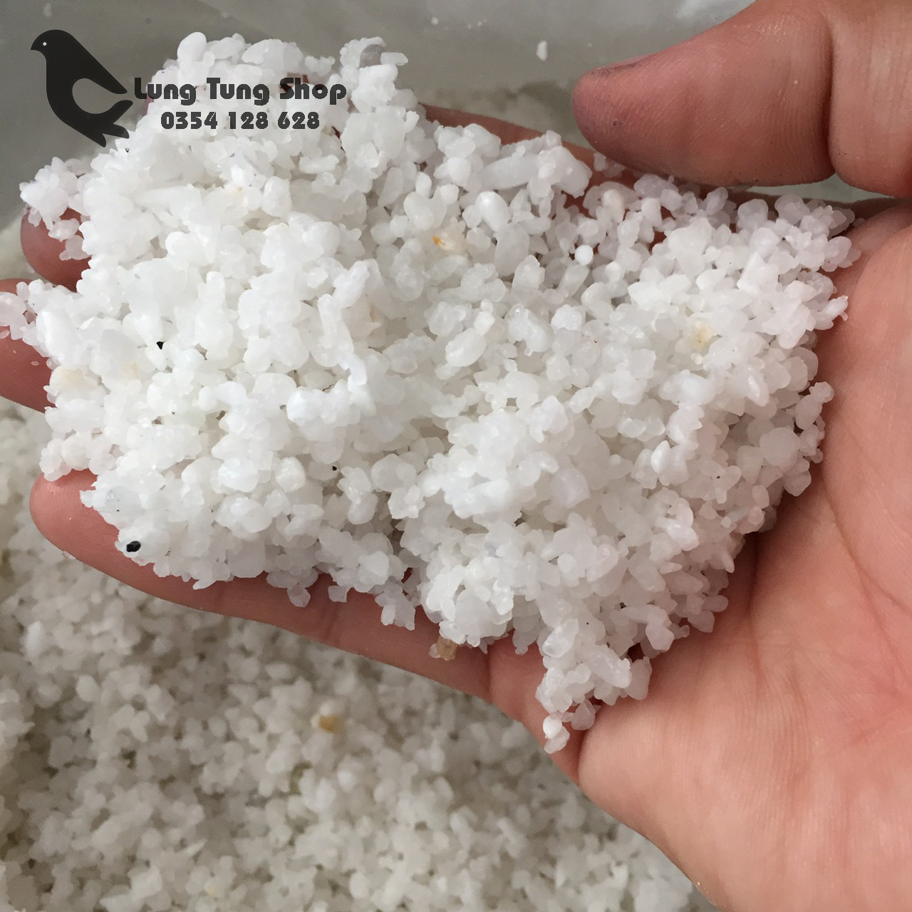 [HCM]Đá sỏi màu trắng ( size nhuyễn ) - đá trang trí
