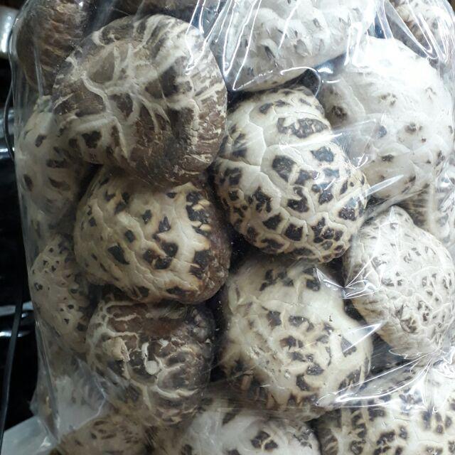 Japanese Dong Co Bong Mushroom (1kg Vacuum-Packed)