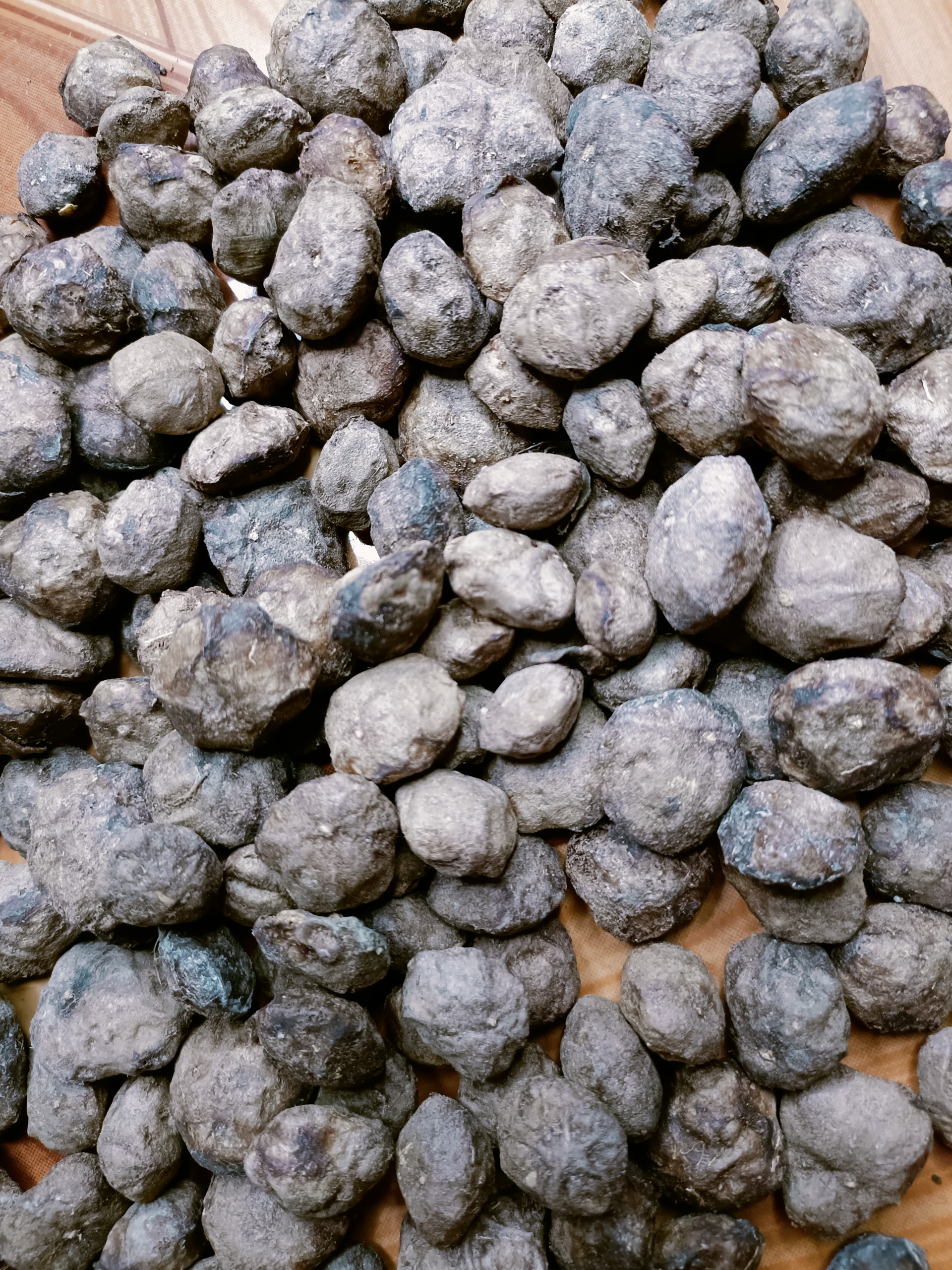 200 hạt sấu giống