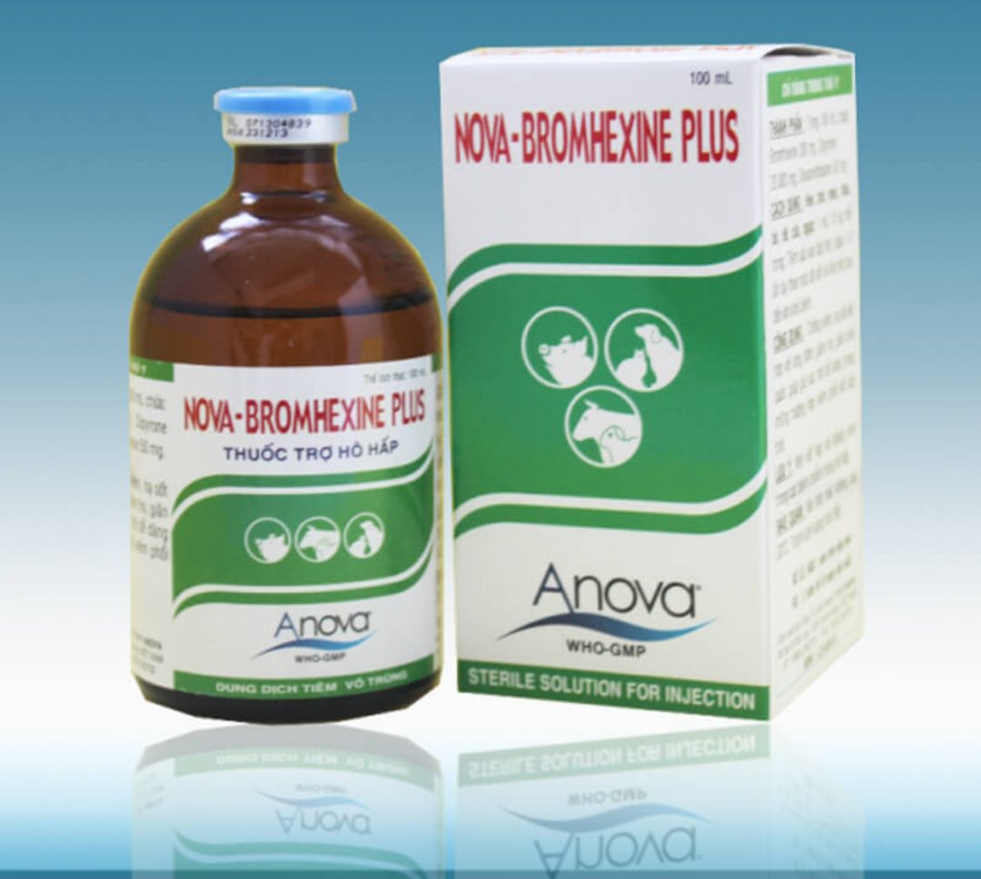 Nova Bromhexine Plus 20ml hô hấp