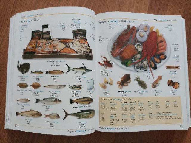 Sách - Visual English Vietnamese Chinese ( Từ Điển Anh Trung Việt)