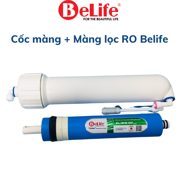 Màng lọc nước ro kèm cốc màng lọc ro , van 1 chiều máy lọc nước , van flow 300 máy lọc nước