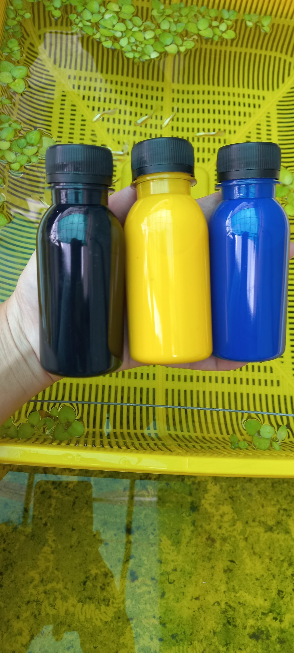 Sơn chống thấm thùng xốp