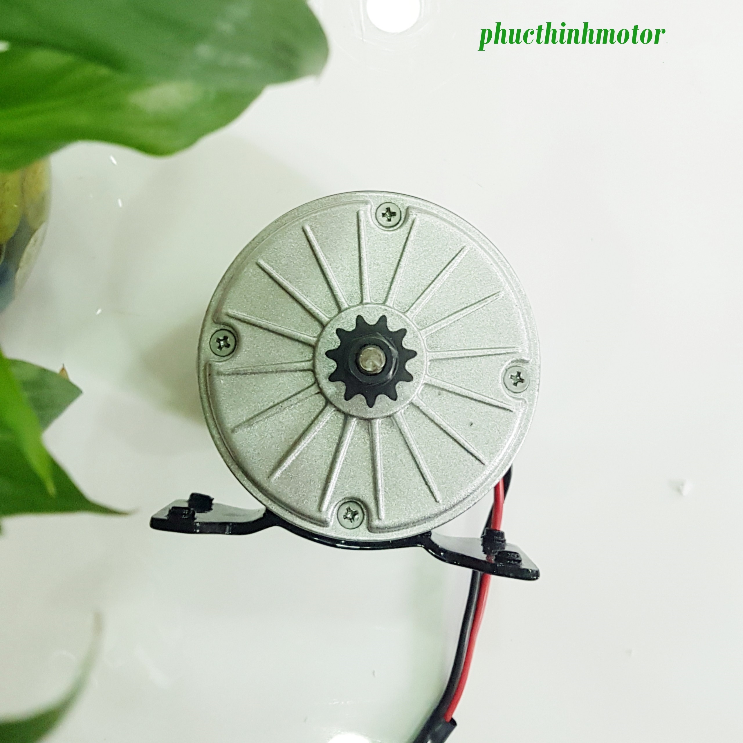 Động cơ 24v350w không giảm tốc
