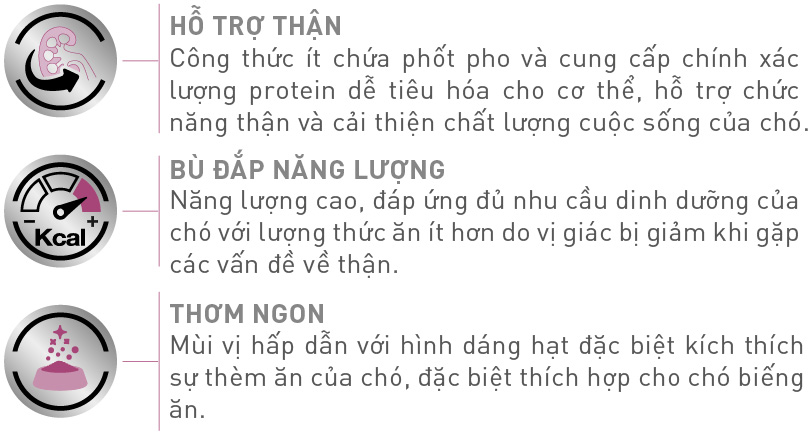 Hạt Khô Royal Canin Hổ Trợ Bệnh Thận Cho Chó RENAL DOG 2KG SUPERPETS VIỆT NAM