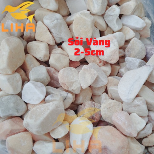Sỏi vàng 1kg - sỏi trải nền bể cá, trang trí hồ cá, lót chậu, sân vườn, bể thủy sinh