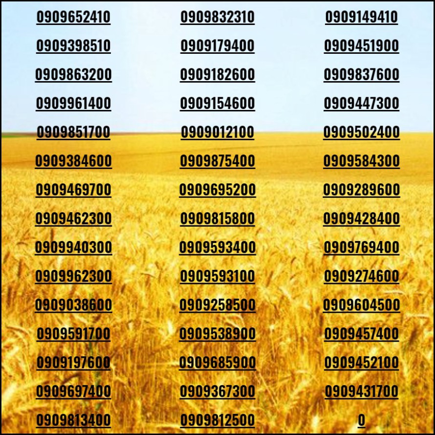 [HCM]Sim đẹp Số tiến