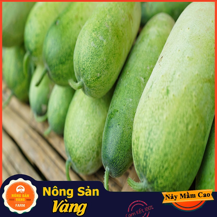 Hạt giống Bí Đao Chanh F1, Năng suất cao  Gói 15 Hạt) - Nông Sản Vàng