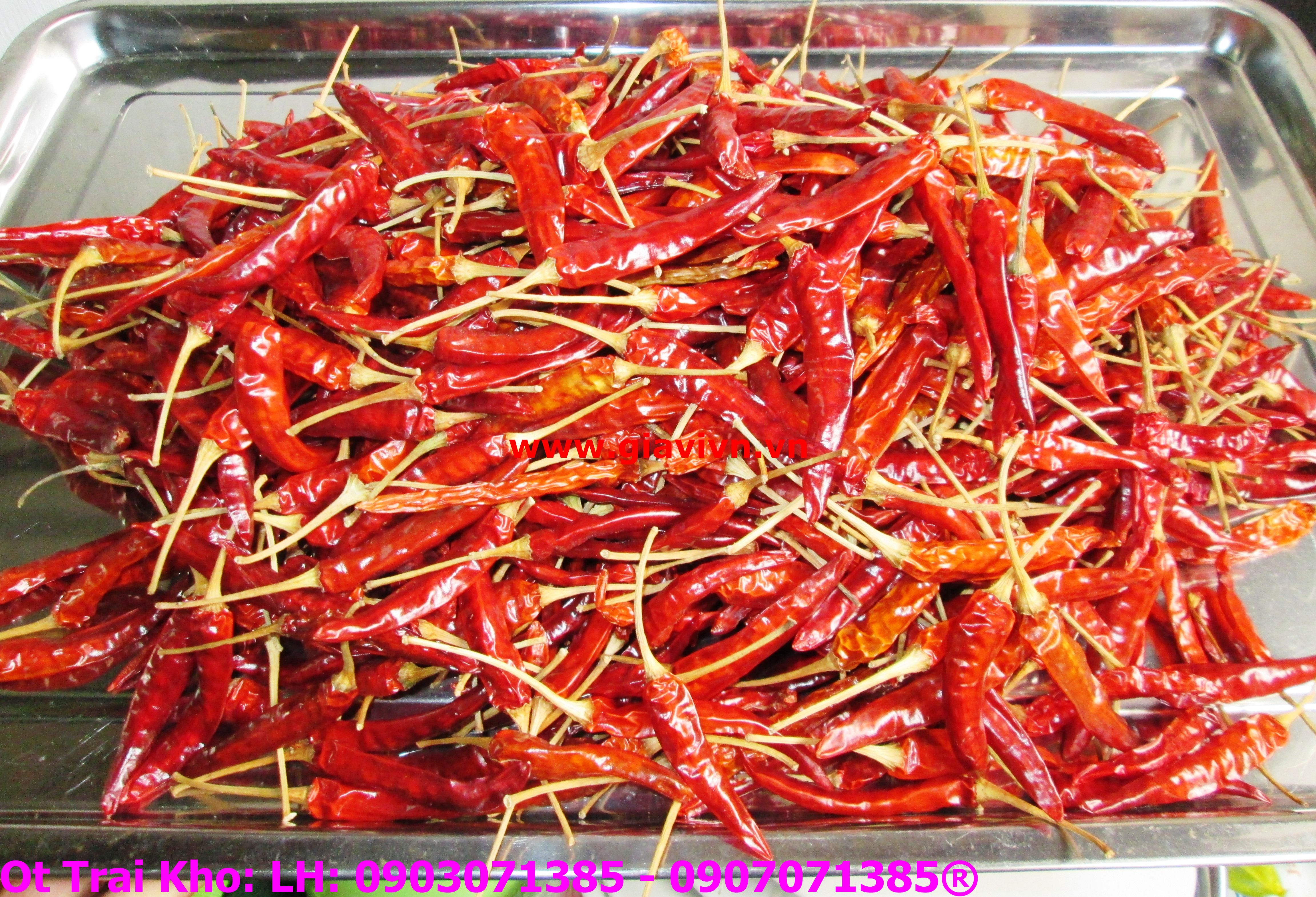 Ớt Trái  Phơi Khô Cao Cấp 100gram