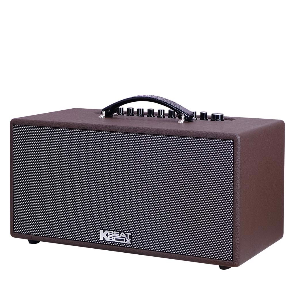 Loa Karaoke Di Động Acnos CS391