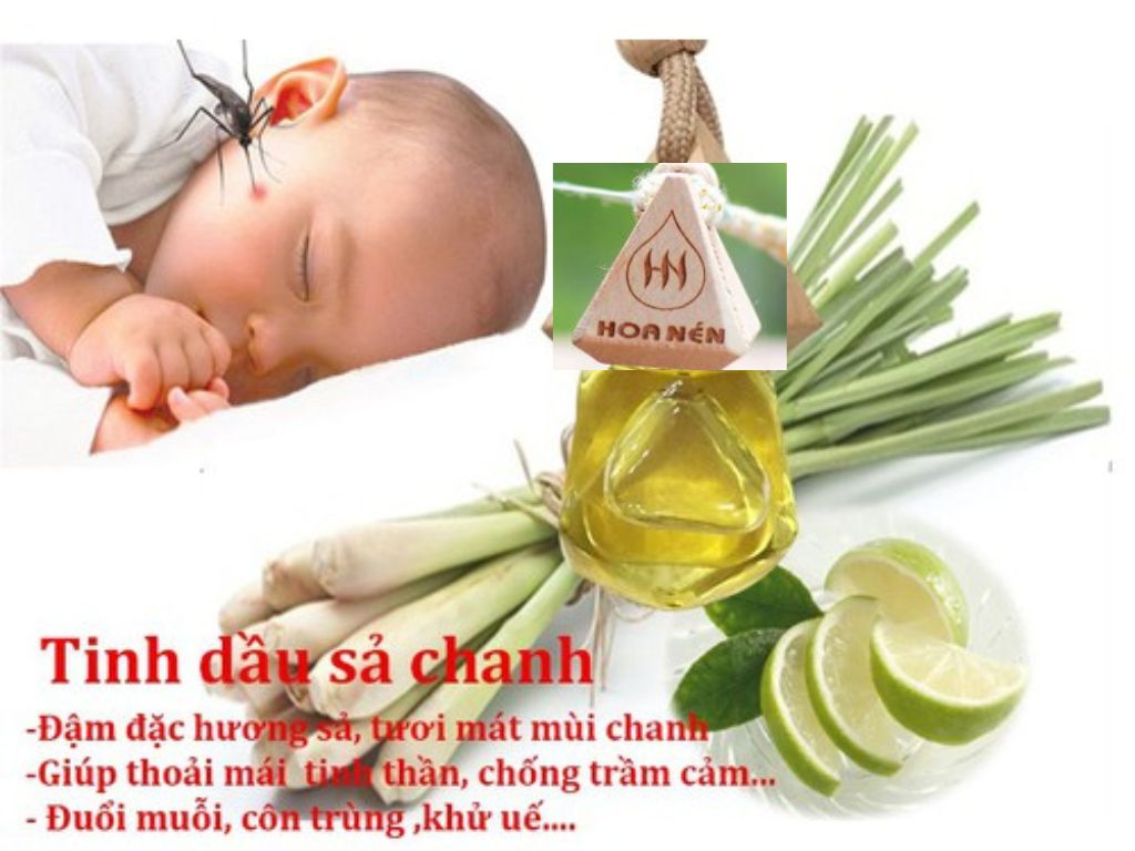 Tinh dầu treo Sả chanh - Hoa Nén