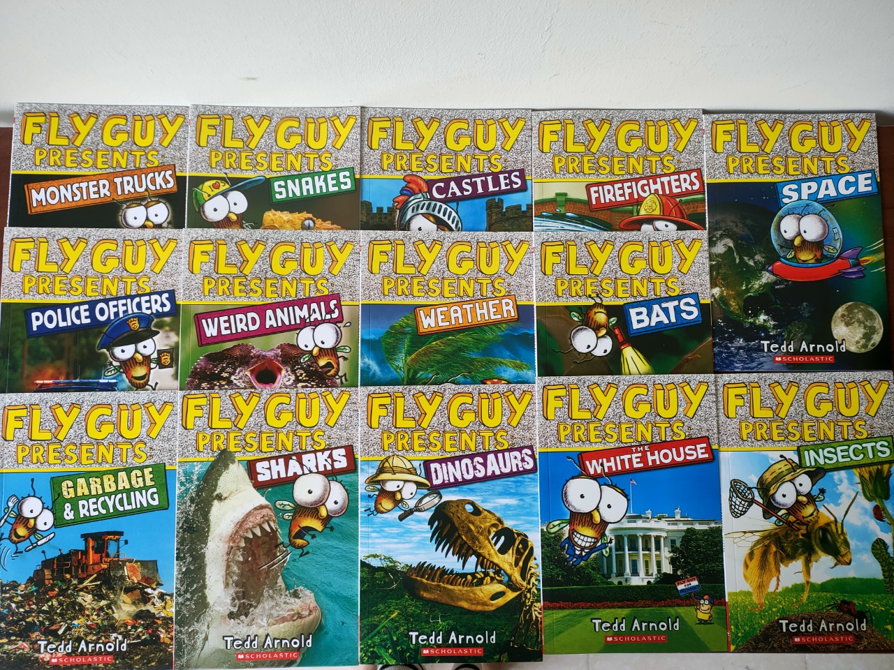 Bản nhập - Fly guy Presents - Level 2 - 14q