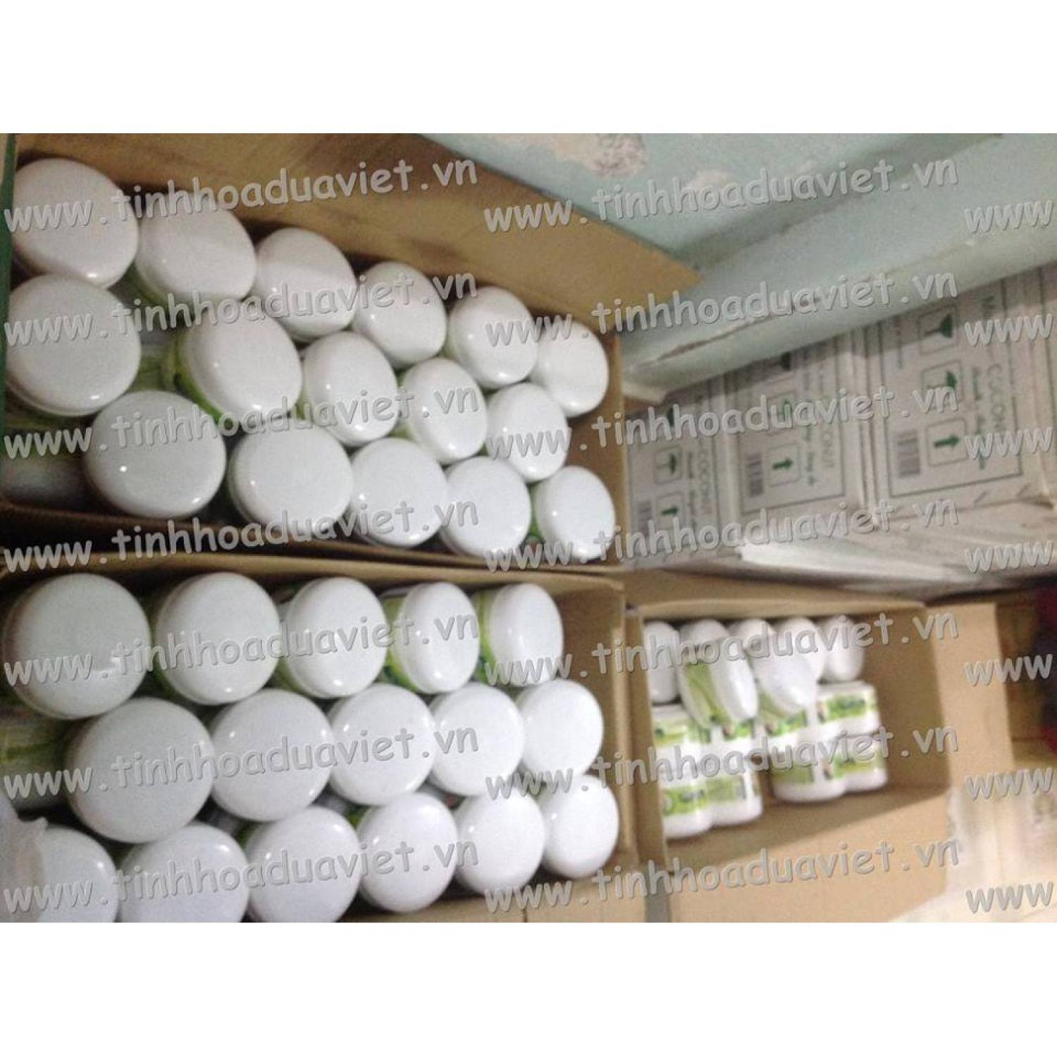 (2026)( 40 Miếng đắp mắt dừa mặt nạ dừa Cửu Long