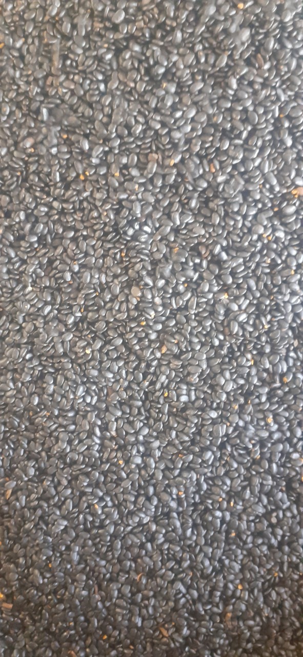 200 gram hạt keo tai tượng giống
