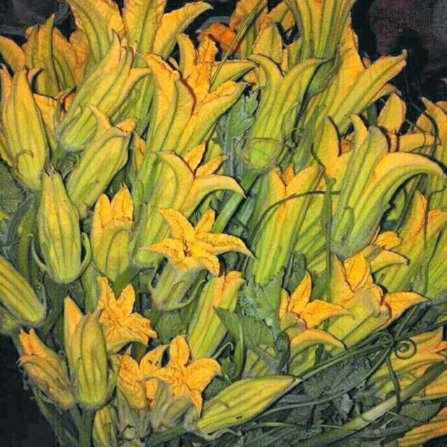 HẠT BÍ NGỌN ĂN BÔNG - GÓI 10 GRAM