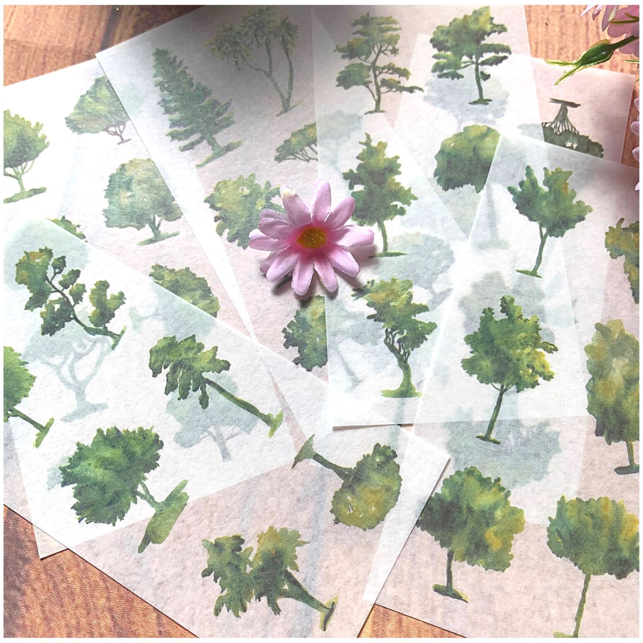 [HCM]Bộ 6 Tấm Sticker Cây Xanh