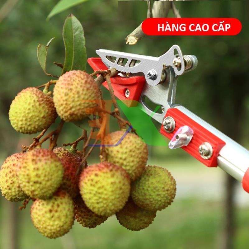 Tools fruit picking hq-4m, pickets picking fabric, pickets picking fruit label, Bird fruit picking, cutting fruit on high with clip holder (4m), together with the saw blade, pruning shears branch on high