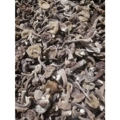 100g nấm tràm khô
