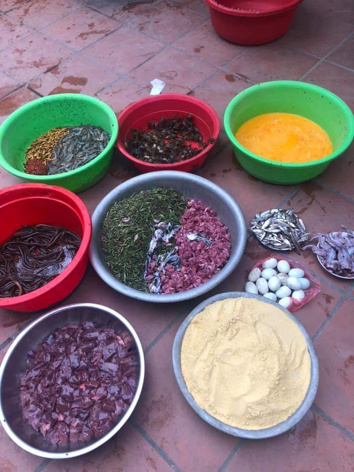 CÁM CHIM TỔNG HỢP  ( gói 500gr)