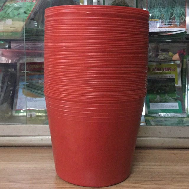combo 50 chậu đen C8.