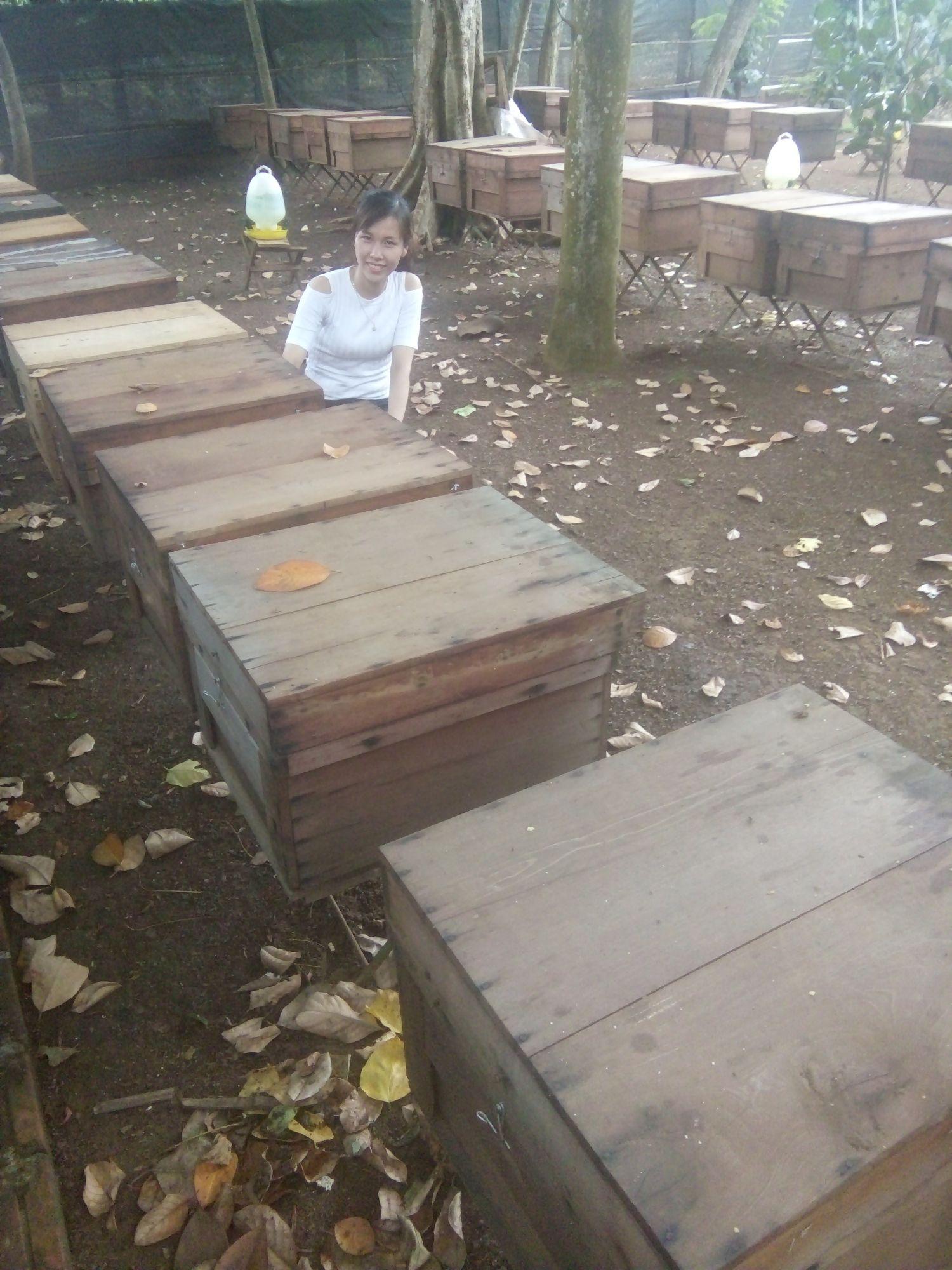 500gr Phấn Hoa Cà Phê Đắk Lăk