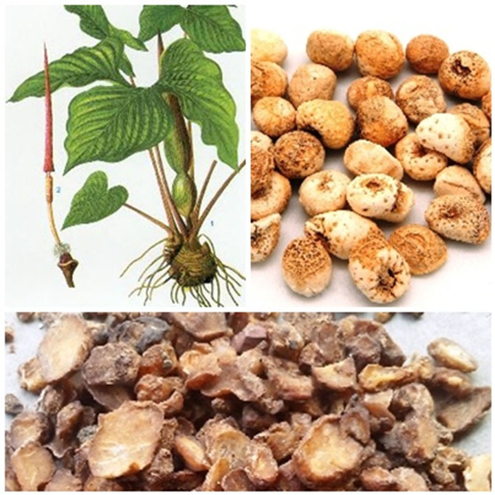 Củ bán hạ nam khô 1kg
