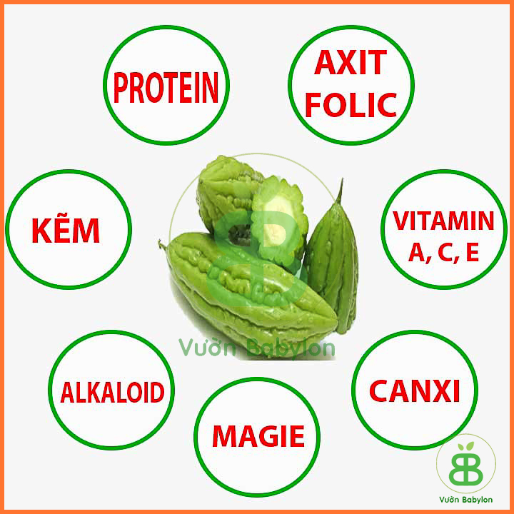 Hạt Giống Khổ Qua - Mướp Đắng Cao Sản 2Gr