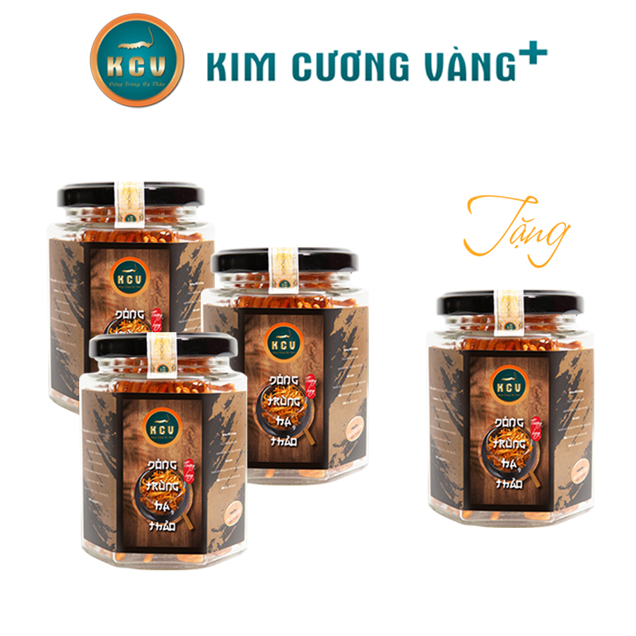 Combo 3 hộp đông trùng hạ thảo khô kcv - tặng 1 hộp