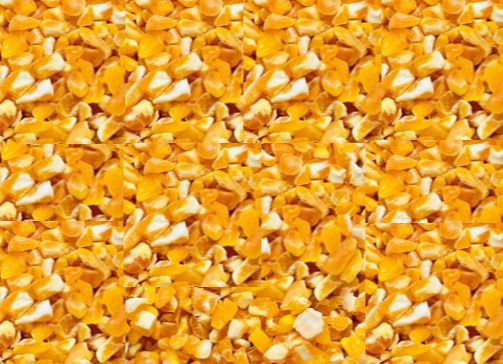 Hạt ngô bể cho chim bồ câu cu gáy gà vẹt