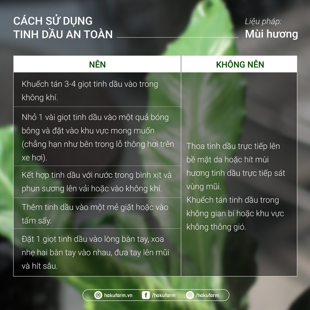 Tinh dầu sả java Citronella