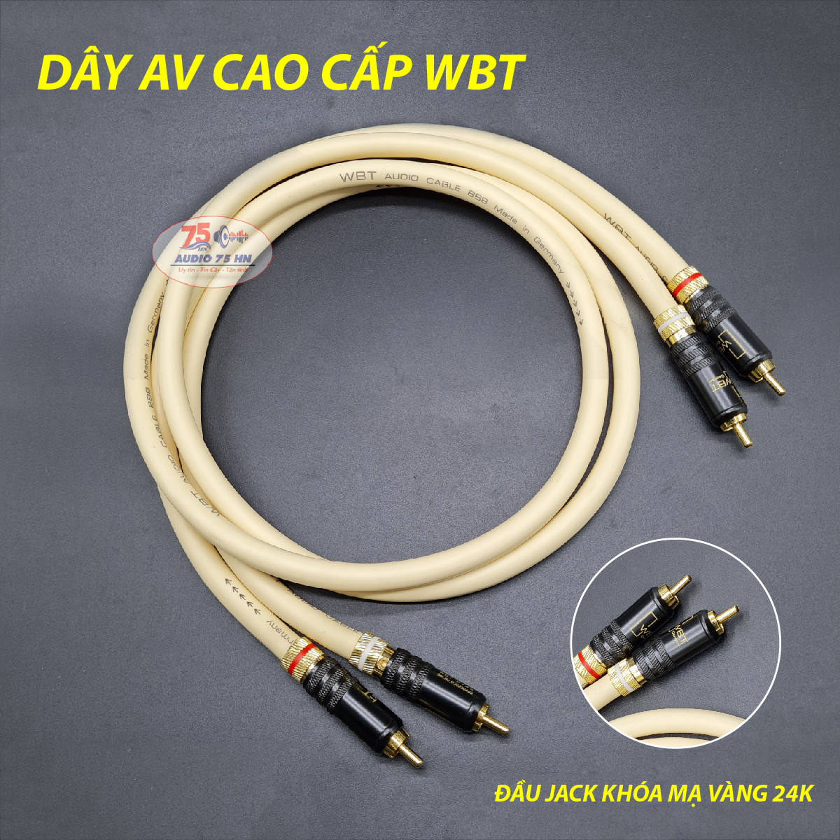 01 cặp dây tín hiệu âm thanh WBT - 888 cao cấp của Đức Dây AV / RCA dài 1M