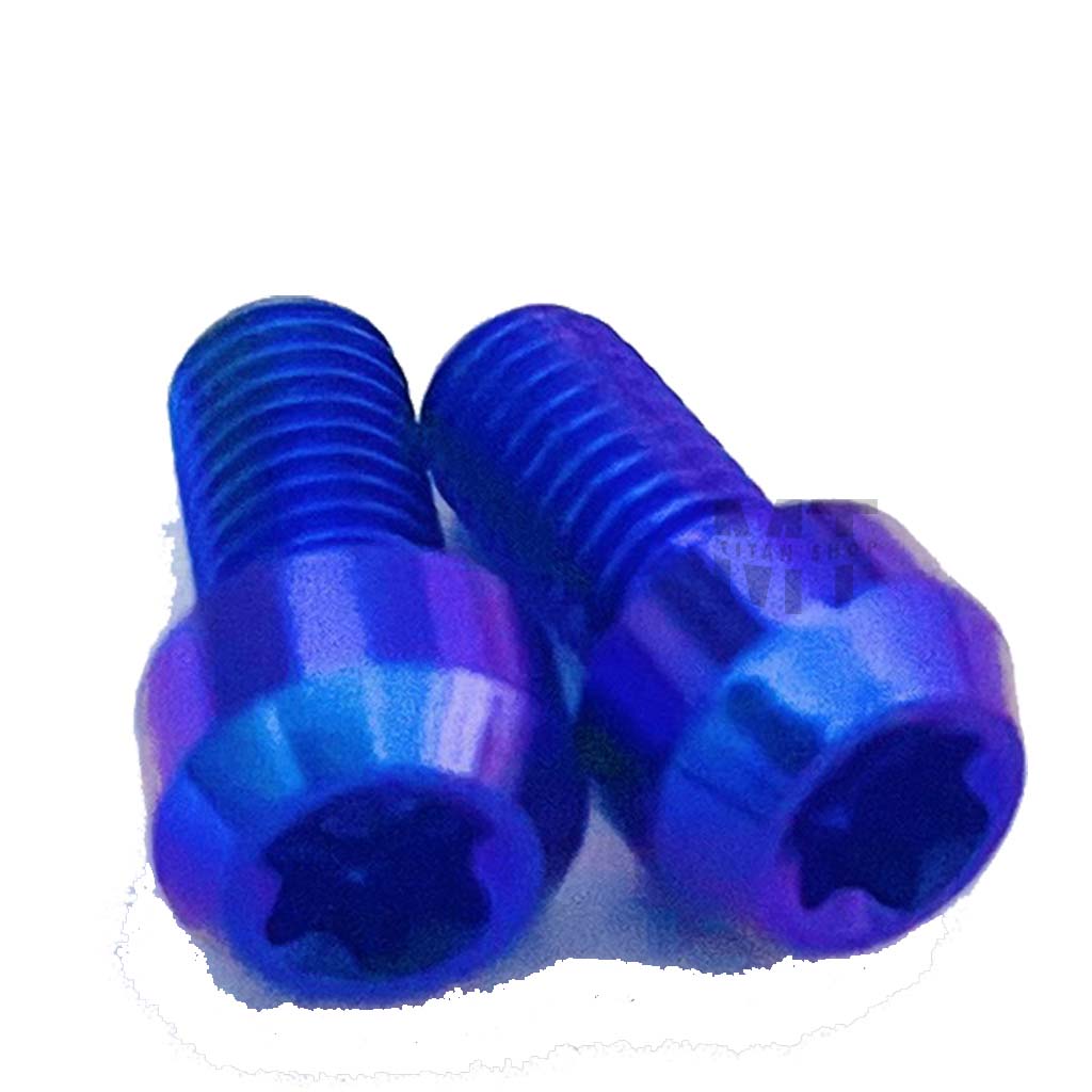 Ốc Titan GR5 Gắng Đĩa ABS Đầu Trụ -MTS