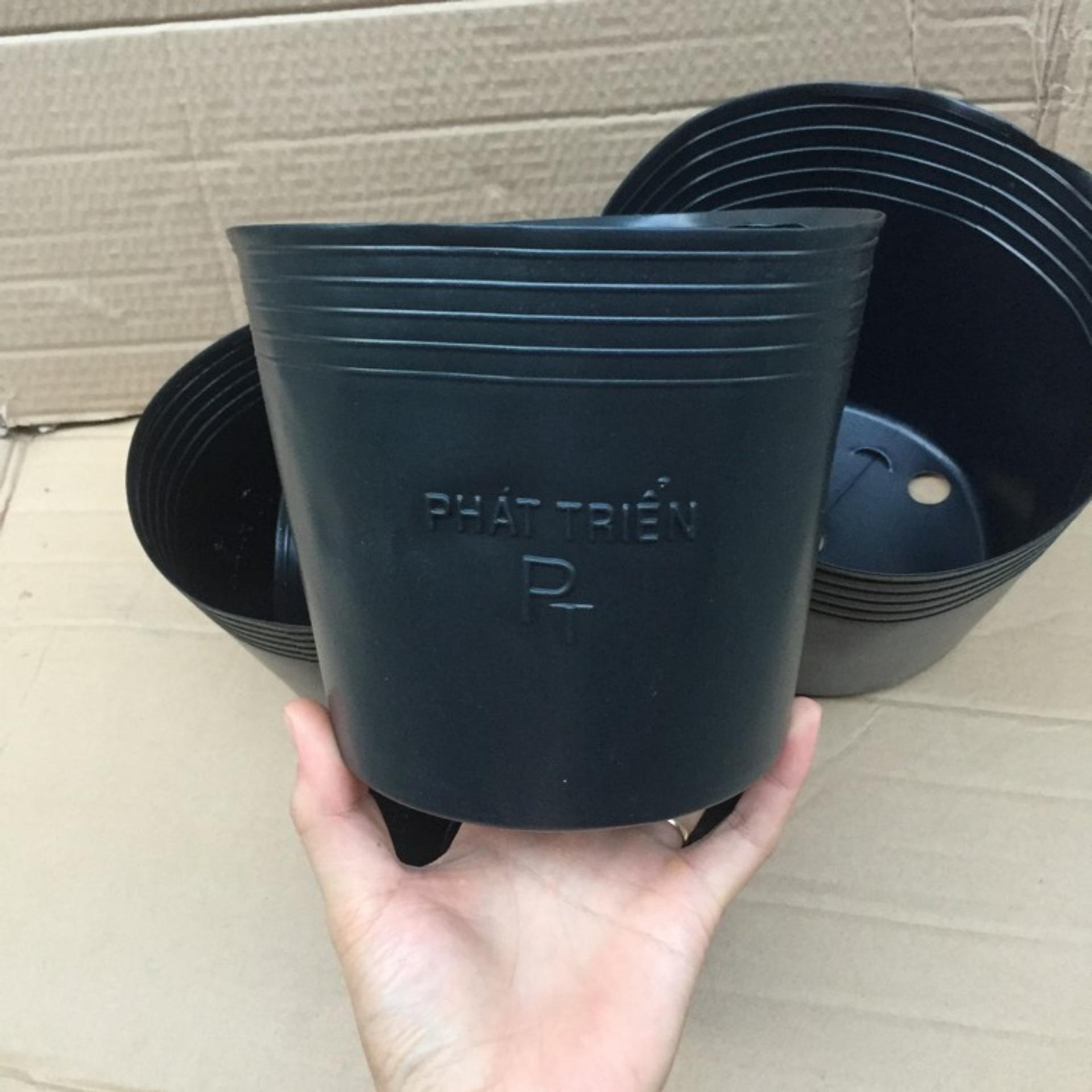 Bộ 50 Chậu trồng Hoa, Cây cảnh C6 (14x12cm)
