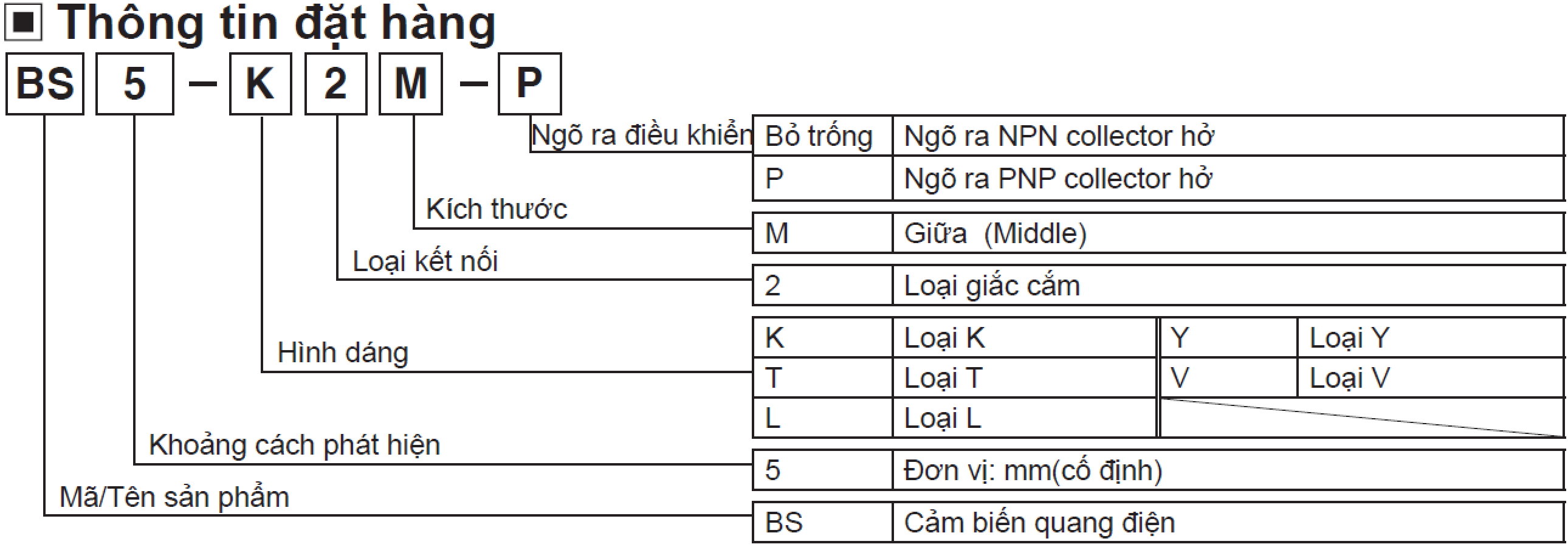 Cảm biến quang BS5-L2M Autonics