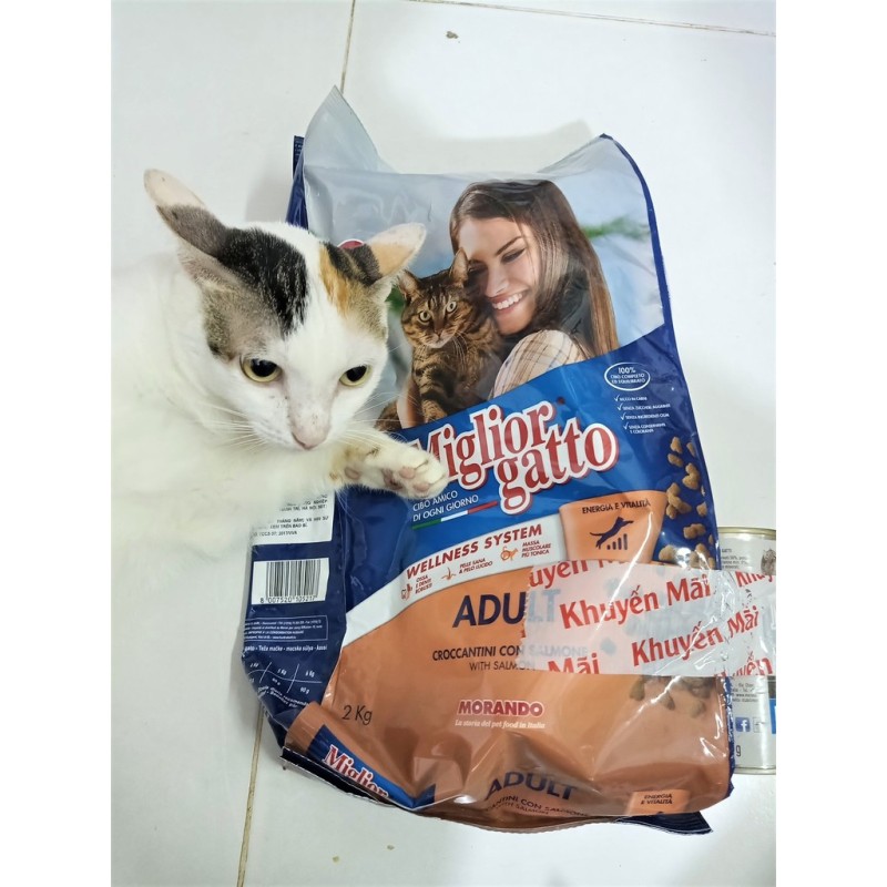 Hạt khô cho mèo Miglior Gatto 2kg tặng kèm pate Miglior Gatto 400g