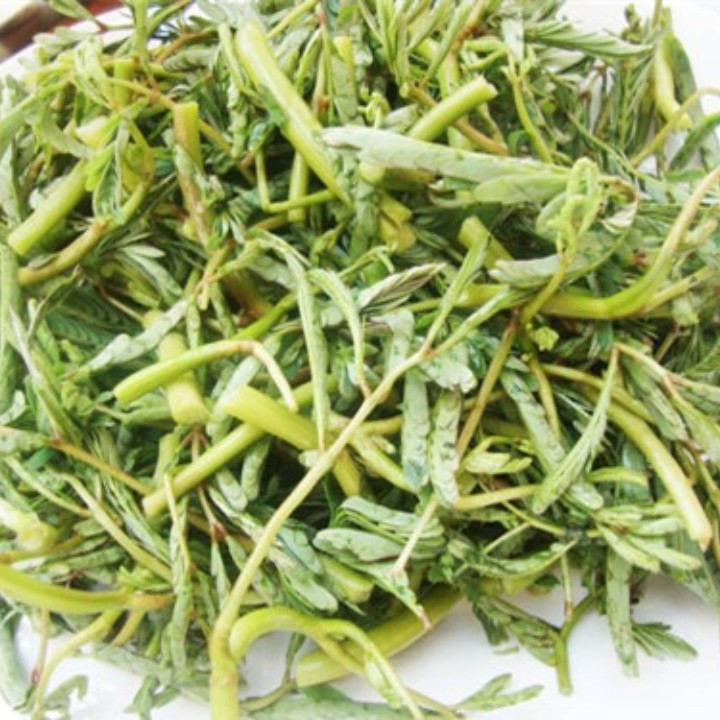 Hạt giống Rau nhút gói 1gr