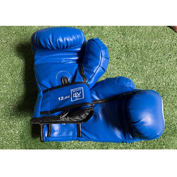 Găng tay tập boxing Everlast EVL77