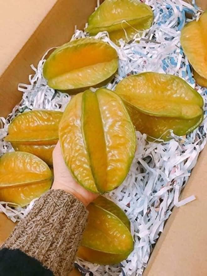 Cây giống khế chua, khế ngọt