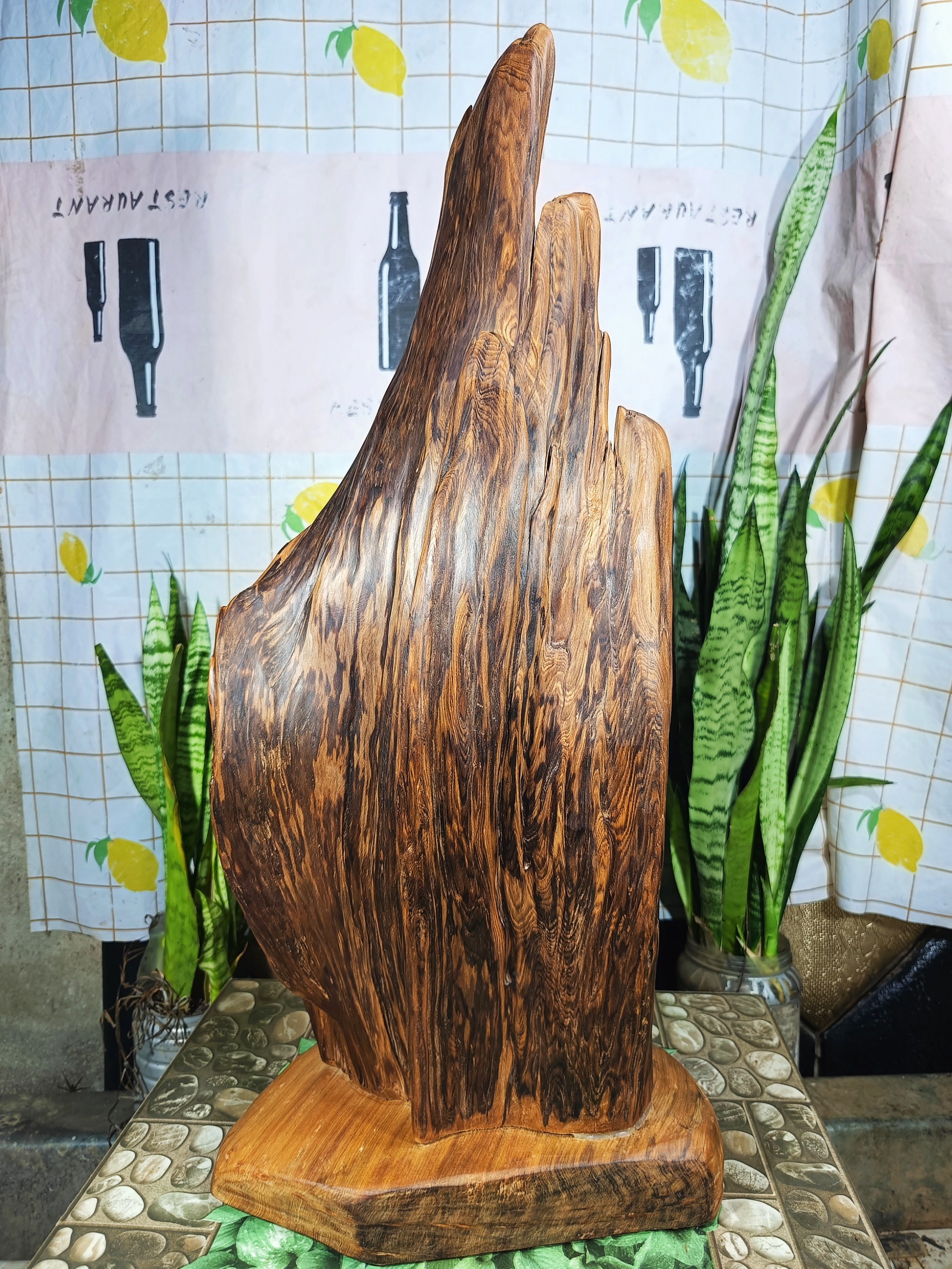 lũa gỗ thơm ngọc am đỏ hà giang, dáng phiêu