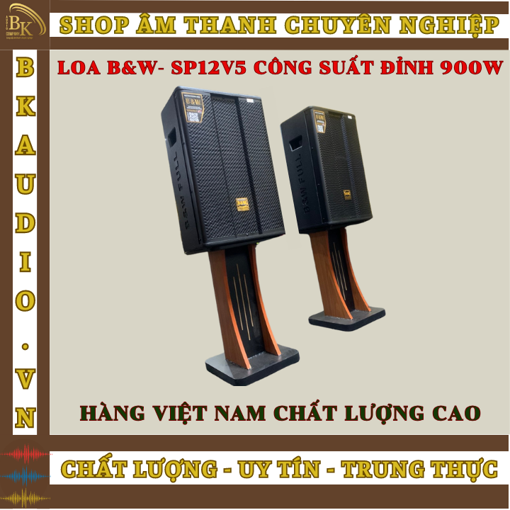 Loa B&W-SP12V5 để bàn hoặc treo tường cao cấp B&W công suất lớn . Thiết kế tinh tế , hiện đại trang trí luôn cho không gian của bạn.