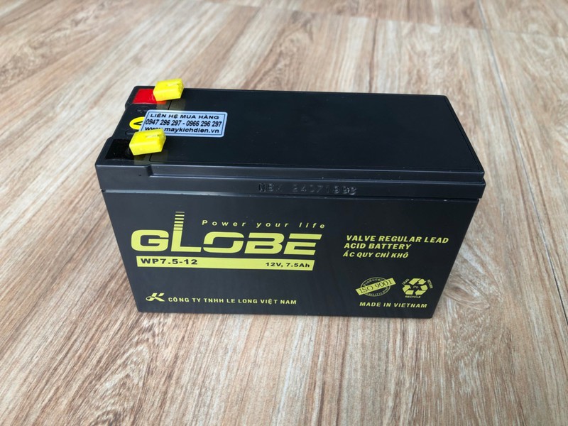 [HCM]Bình ắc quy GLOBE 12V - 7.5A