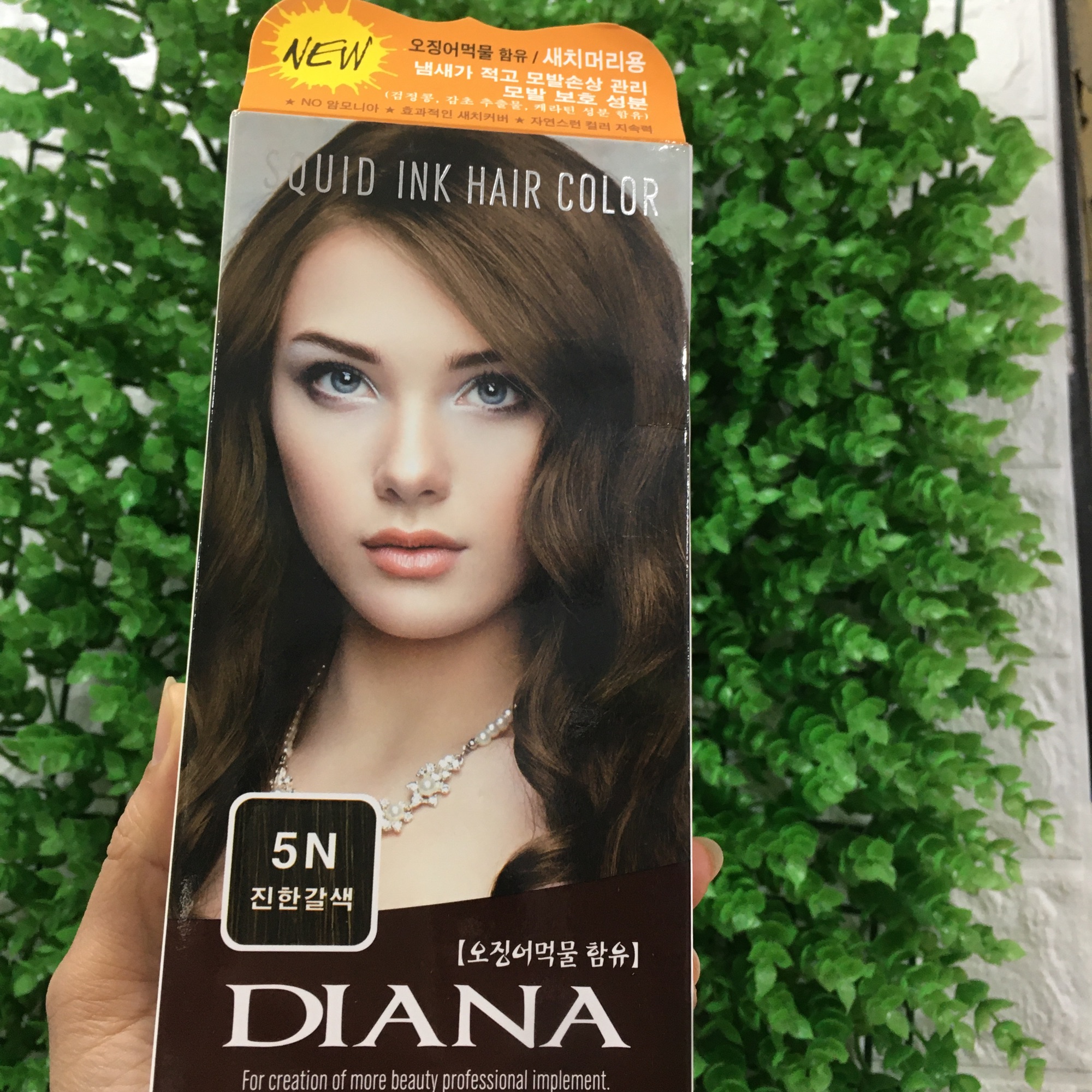 THUỐC NHUỘM PHỦ BẠC MÀU NÂU ĐẬM 5N DIANA CHÍNH HÃNG