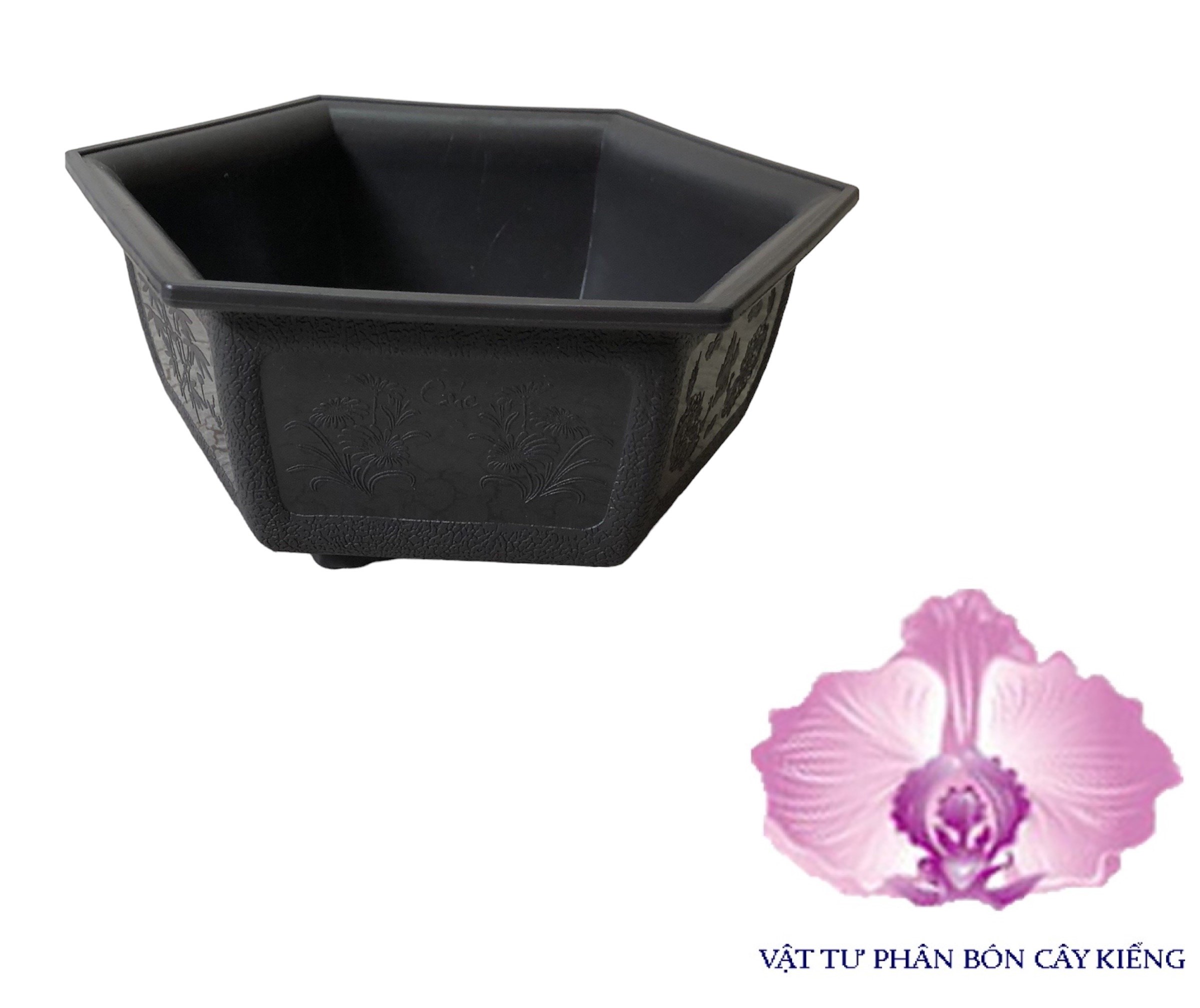 Chậu lục giác bonsai mini - #019d# 21x8cm