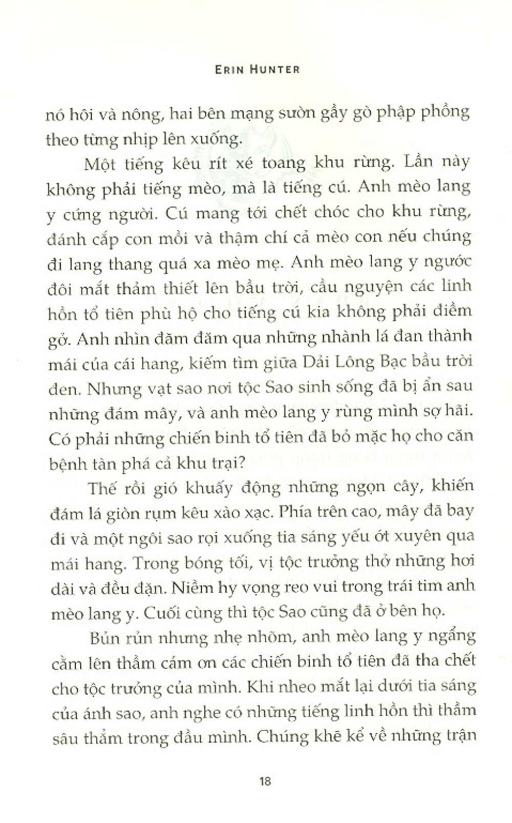 Sách - Mèo Chiến Binh - Bão Nổi - Newshop