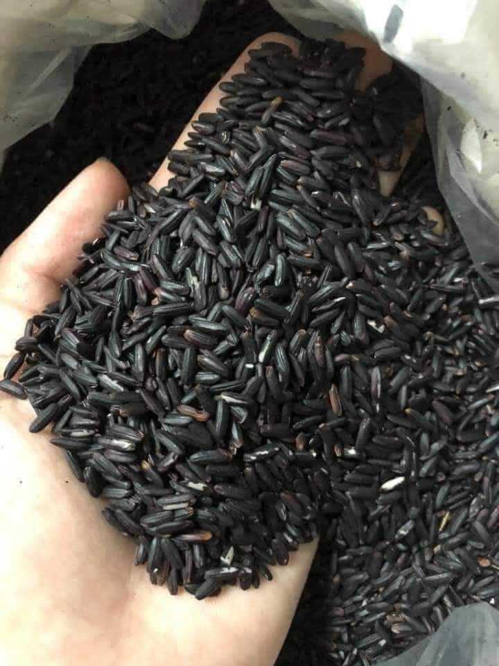 Gạo Lứt đen Điện Biên - 1kg