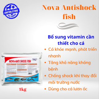 ANOVA Nova Anti-shock cá - Bổ sung dinh dưỡng giúp cá khỏe mạnh chống thumbnail